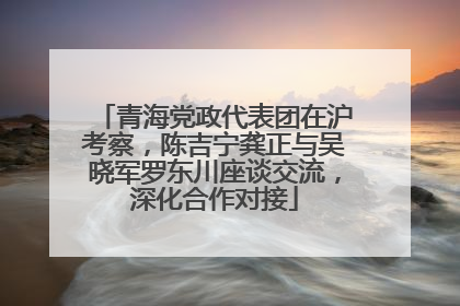 青海党政代表团在沪考察，陈吉宁龚正与吴晓军罗东川座谈交流，深化合作对接