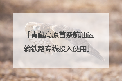 青藏高原首条航油运输铁路专线投入使用