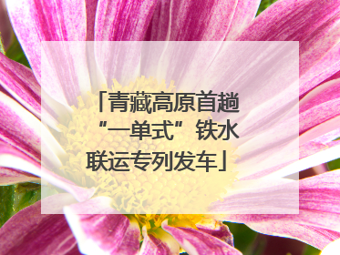 青藏高原首趟“一单式”铁水联运专列发车