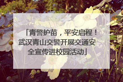 青警护苗，平安启程！武汉青山交警开展交通安全宣传进校园活动