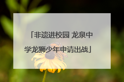 非遗进校园 龙泉中学龙狮少年申请出战