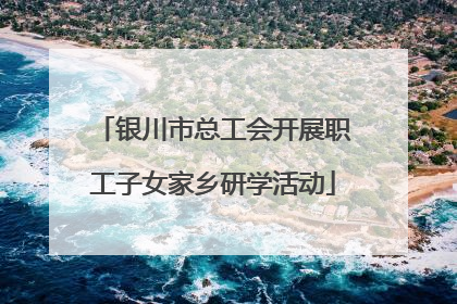 银川市总工会开展职工子女家乡研学活动