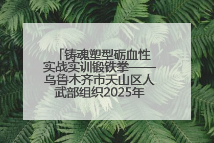铸魂塑型砺血性 实战实训锻铁拳——乌鲁木齐市天山区人武部组织2025年度民兵集中轮训