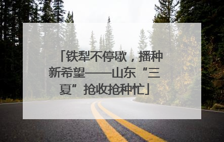 铁犁不停歇，播种新希望——山东“三夏”抢收抢种忙