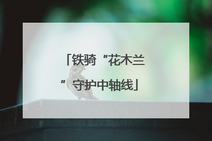 铁骑“花木兰”守护中轴线