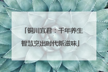 铜川宜君：千年养生智慧烹出时代新滋味