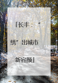 长丰：“绣”出城市新容颜