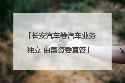 长安汽车等汽车业务独立 由国资委直管