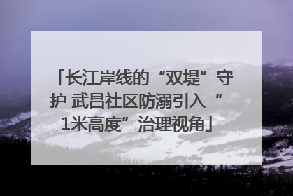 长江岸线的“双堤”守护 武昌社区防溺引入“1米高度”治理视角