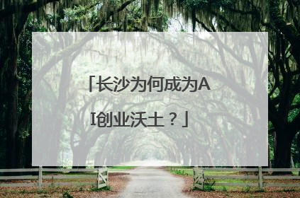 长沙为何成为AI创业沃土？