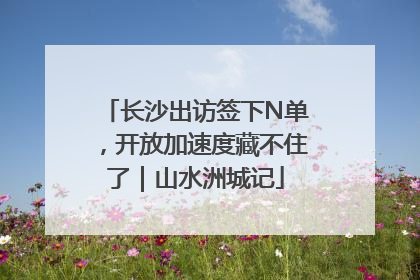 长沙出访签下N单，开放加速度藏不住了｜山水洲城记