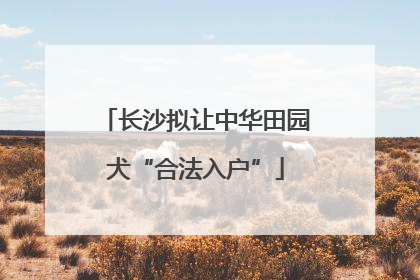 长沙拟让中华田园犬“合法入户”