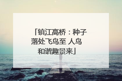 镇江高桥：种子落处飞鸟至 人鸟和谐趣景来