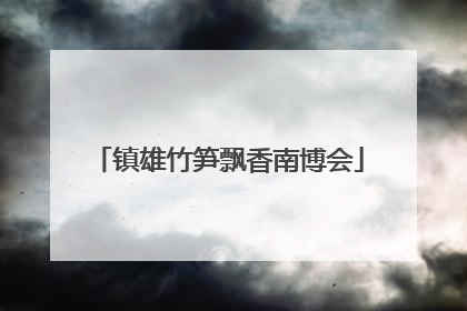 镇雄竹笋飘香南博会
