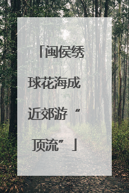 闽侯绣球花海成近郊游“顶流”