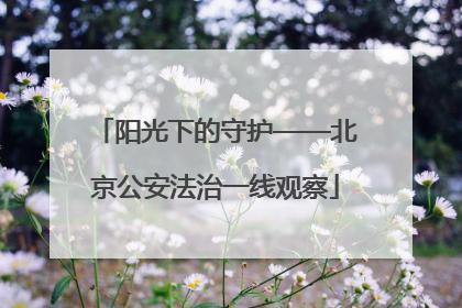 阳光下的守护——北京公安法治一线观察