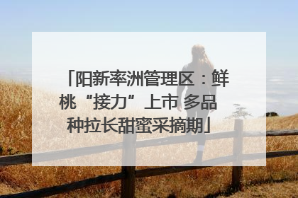阳新率洲管理区：鲜桃“接力”上市 多品种拉长甜蜜采摘期