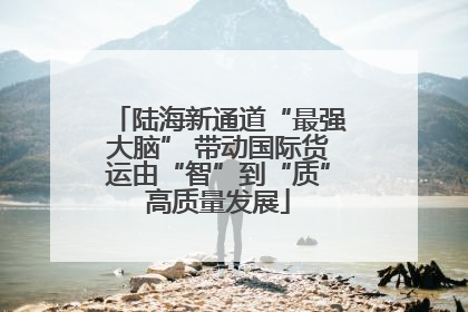 陆海新通道“最强大脑” 带动国际货运由“智”到“质”高质量发展