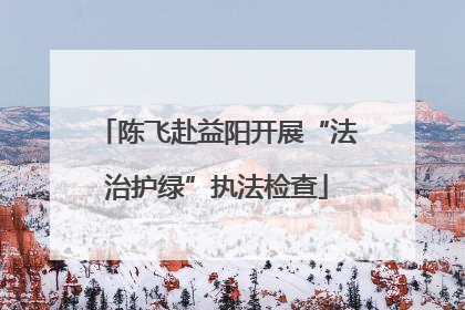陈飞赴益阳开展“法治护绿”执法检查