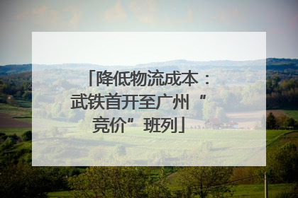 降低物流成本：武铁首开至广州“竞价”班列