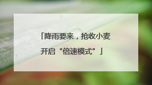 降雨要来,抢收小麦开启“倍速模式”