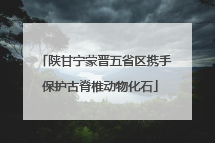 陕甘宁蒙晋五省区携手保护古脊椎动物化石