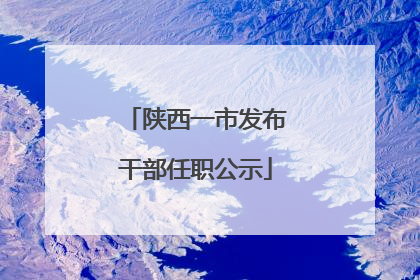 陕西一市发布干部任职公示