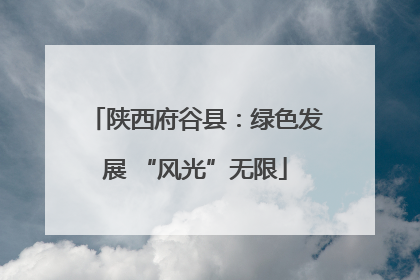 陕西府谷县：绿色发展 “风光”无限