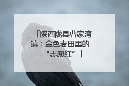 陕西陇县曹家湾镇：金色麦田里的“志愿红”