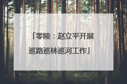 零陵：赵立平开展巡路巡林巡河工作