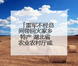 雷军不经意间带回火家乡特产 湖北省农业农村厅或可考虑请雷军当特产大使