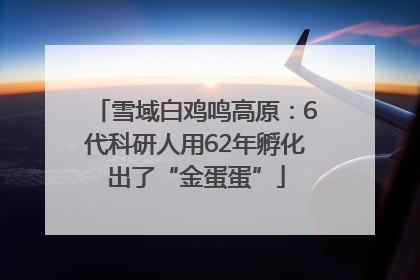 雪域白鸡鸣高原：6代科研人用62年孵化出了“金蛋蛋”