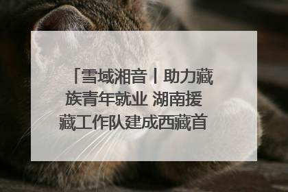 雪域湘音丨助力藏族青年就业 湖南援藏工作队建成西藏首个清洁能源装备园
