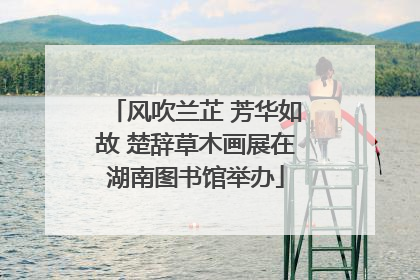 风吹兰芷 芳华如故 楚辞草木画展在湖南图书馆举办