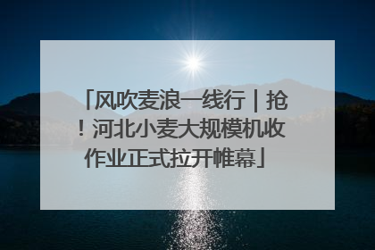 风吹麦浪一线行｜抢！河北小麦大规模机收作业正式拉开帷幕