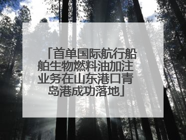 首单国际航行船舶生物燃料油加注业务在山东港口青岛港成功落地