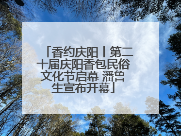 香约庆阳丨第二十届庆阳香包民俗文化节启幕 潘鲁生宣布开幕