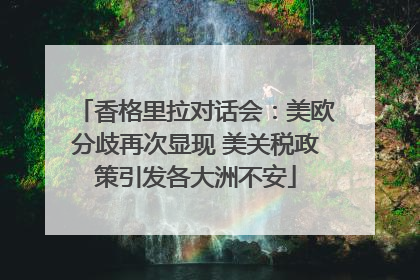 香格里拉对话会：美欧分歧再次显现 美关税政策引发各大洲不安