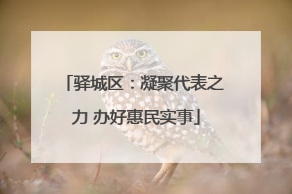 驿城区：凝聚代表之力 办好惠民实事