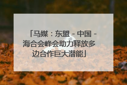 马媒：东盟－中国－海合会峰会助力释放多边合作巨大潜能