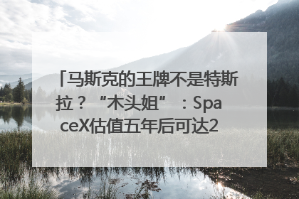 马斯克的王牌不是特斯拉？“木头姐”：SpaceX估值五年后可达2.5万亿美元！