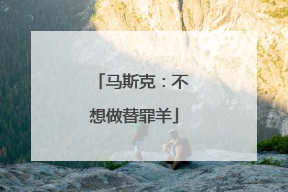 马斯克：不想做替罪羊