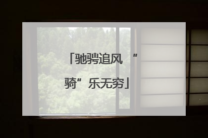 驰骋追风 “骑”乐无穷