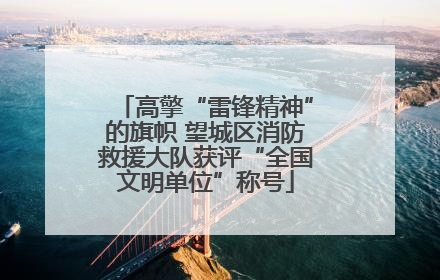 高擎“雷锋精神”的旗帜 望城区消防救援大队获评“全国文明单位”称号