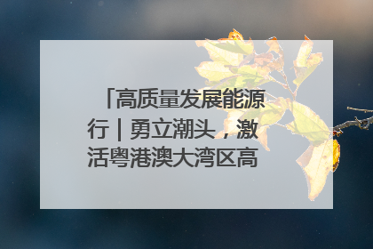 高质量发展能源行｜勇立潮头，激活粤港澳大湾区高质量发展动力源