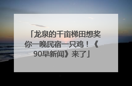 龙泉的千亩梯田想奖你一晚民宿一只鸡！《90早新闻》来了