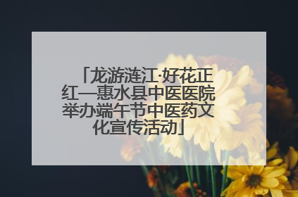 龙游涟江·好花正红—惠水县中医医院举办端午节中医药文化宣传活动