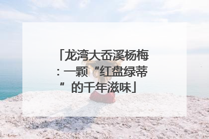 龙湾大岙溪杨梅：一颗“红盘绿蒂”的千年滋味