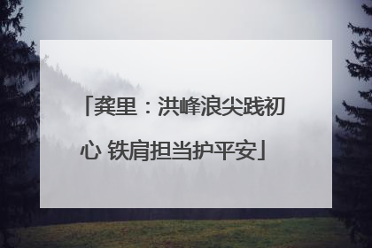 龚里：洪峰浪尖践初心 铁肩担当护平安