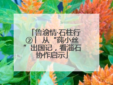 鲁渝情·石柱行② ︳从“莼小丝”出国记，看淄石协作启示